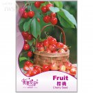 Super Sweet Bonsai Cherry 5 nutritious delicious fruit Seeds, Original Pack, ...