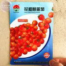 'Colorful Cherry' Indeterminate Organic Seeds