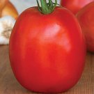 SuperSauce Hybrid the World's Seeds 100pcs Largest