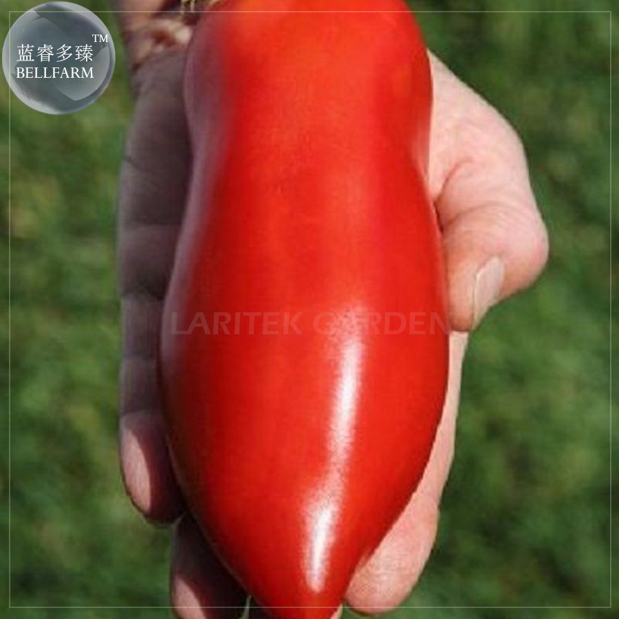 Jersey Devil 100 Professional red sweet Seeds, Pack, long