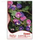 Heirloom Pink Purple Mixed 25 ornamental for Light Morning Glory Original Pac...