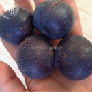 Fracazano Bianco Black Tree, 6 Fig seeds, organic