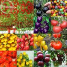 Mixed 24 Types 100 tasty edible heirloom Organic seeds,