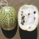 Heirloom Malabar 8 leaf chilacayote asian pumpkin Gourd Seeds, fig