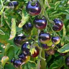 Heirloom Rare Small Black Hybrid F1 100 new healthy delicious edible cherry G...