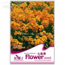 Yellow Siberian , 50 easy to hardy attractive impressive Seeds seeds, grow