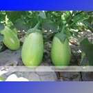 1 60 / Fat Chinese Original Pack, Seeds Green Eggplant Seed Vegetable O...