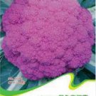 Heirloom Purple Sicily 20 / Broccoli Organic Vegetable Seeds, Original Pack, ...