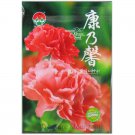 Heirloom Red Pink Carnation 50 very beautiful cut Big Original Pack, Seeds,