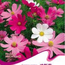 1 50 / Cosmos Sensation Mix Bipinnatus Mexican aster Annual Original Pack, Se...