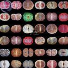 Mixed 10 Types of Lithops professional 100% varieties stones succulent Seeds,...