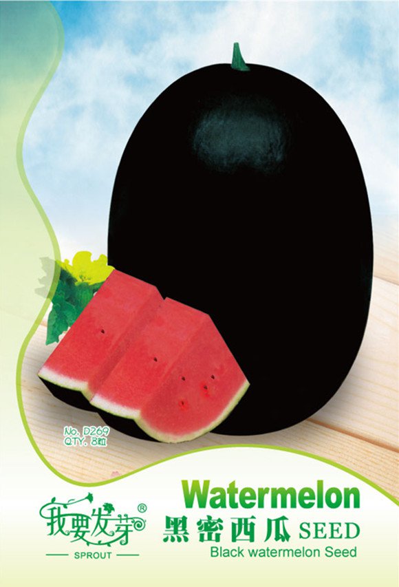 Black Skin Red Inside Ellipse Watermelon Giant Seeds