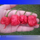 Rare Carolina Reaper Professional 10 / World's Hottest Seeds, Pack, Seeds