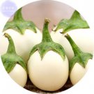 Lao White Professional 200 Hybrid tasty edible Eggplant Seeds, Pack,...