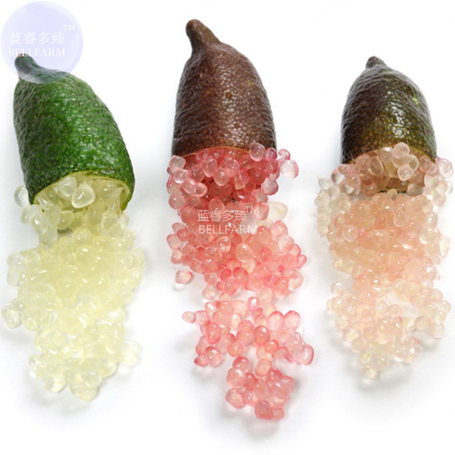 Mixed Lime Red Pink Fruit 20 heirloom a must for Finger Green Seeds,...