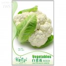White Bonsai 60 pot home Vegetable Seeds, Original Pack, garden organi...