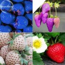 Mixed 4 Types of Blue Purple White Red Strawberry, 100 delicious fruit bonsai...