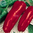 Marconi Hybrid Sweet DIY Home Giant Seeds Garden Vegetable