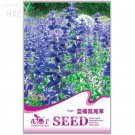 Blue Butterfly 50 aroma ornamental aromatic Sage Seeds, Original Package, see...