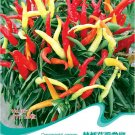 Capsicum F1 Medusa Ornamental 20 / Sweet Colors Seeds, Original Pack, Seeds P...