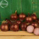 Red Creole Onion 100 edible tasty Vegetables, Seeds, vegetables