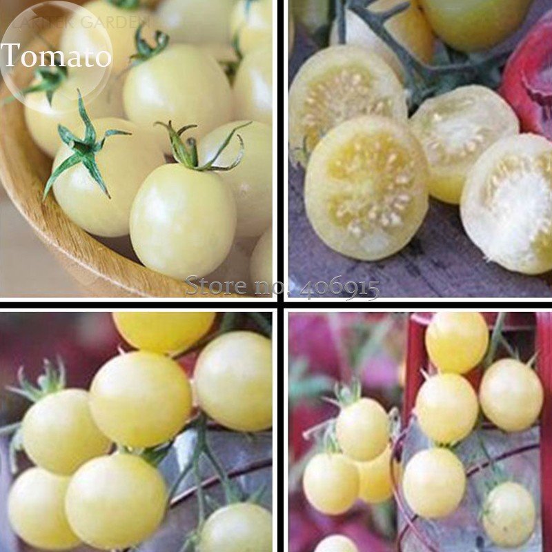 Heirloom White Cherry Fresh Fruit 100 delicious and nutritious Organic Vegeta...
