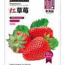 Cream Red Strawberry – Sweet and Variety for Seeds Tangy Gardens