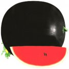 Black Diamond Watermelon 40PCS Seeds