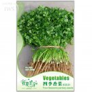 Four Seasons Parsley Coriander 160 authentic delicious Seeds Organic Seeds, O...