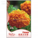 Aztec 60 ornamental value Marigold Seeds, Original Pack, high seeds
