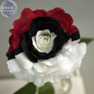 Heirloom Rare White Black Red Tri-color Rose with eye, 50 attract th...