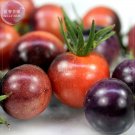 Blue Berries' Fruit 100 professional tasty sweet Seeds, pack...