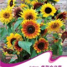 1 15 / Many Headed for Bonsai Original Pack, Seeds