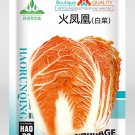 'Fire Phoenix' Hybrid Chinese - Early Heart, Low-Fiber Napa 60-Day Cabbage Se...