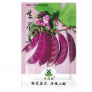 RARE hyacinth bean Dolichos lablab, 10pcs seeds,