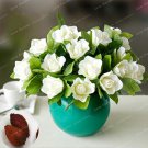 Rare Bonsai(Cape Jasmine) Smell & Beautiful Bonsai Tree Potted for Home 5 Pcs...