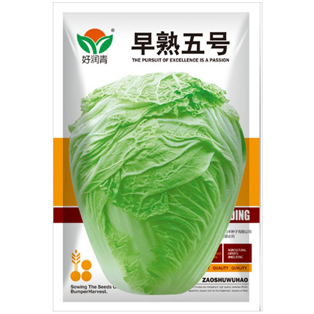 No.5 Chinese Early-maturing Cabbage Seeds