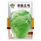 No.5 Chinese Early-maturing Cabbage Seeds