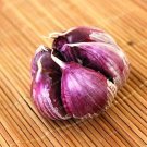 Multi-petals Red Garlic Seeds Organic