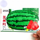 Lanzhou P2 Watermelon 70 juicy 12% contained Big Green Seeds, Seeds,...