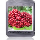 Heirloom Chinese Red Sweet Cherry Fruit 20 tasty juicy tree Seeds,