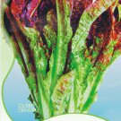 30 / Red Salad Bowl Leaf Lettuce Lactuca Heirloom Original Pack, Seeds ...
