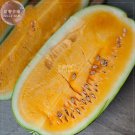 Watermelon Rare Fruit 20 professional heirloon water Orange Organic ...