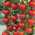 Hybrid Professional 100 / Super-sweet Cherry Garden Seeds, Pack, Seeds