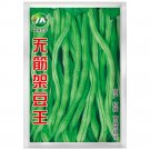 Snap Bean Stringless King Seeds