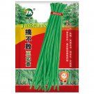 Continuously Harvestable Bean Yardlong Seeds