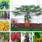 Papaya Seeds,