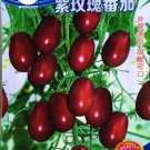 1 approx 250 / Purple Rose Dwarf Heirloom Original Pack, seeds Non-gmo