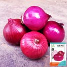 Premium Red Onion - Purple Skin Seeds