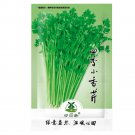 Chinese Celery Khuenchai Kan-tsai Kin-tsai Kunchoy Qincai 2000pcs Seeds